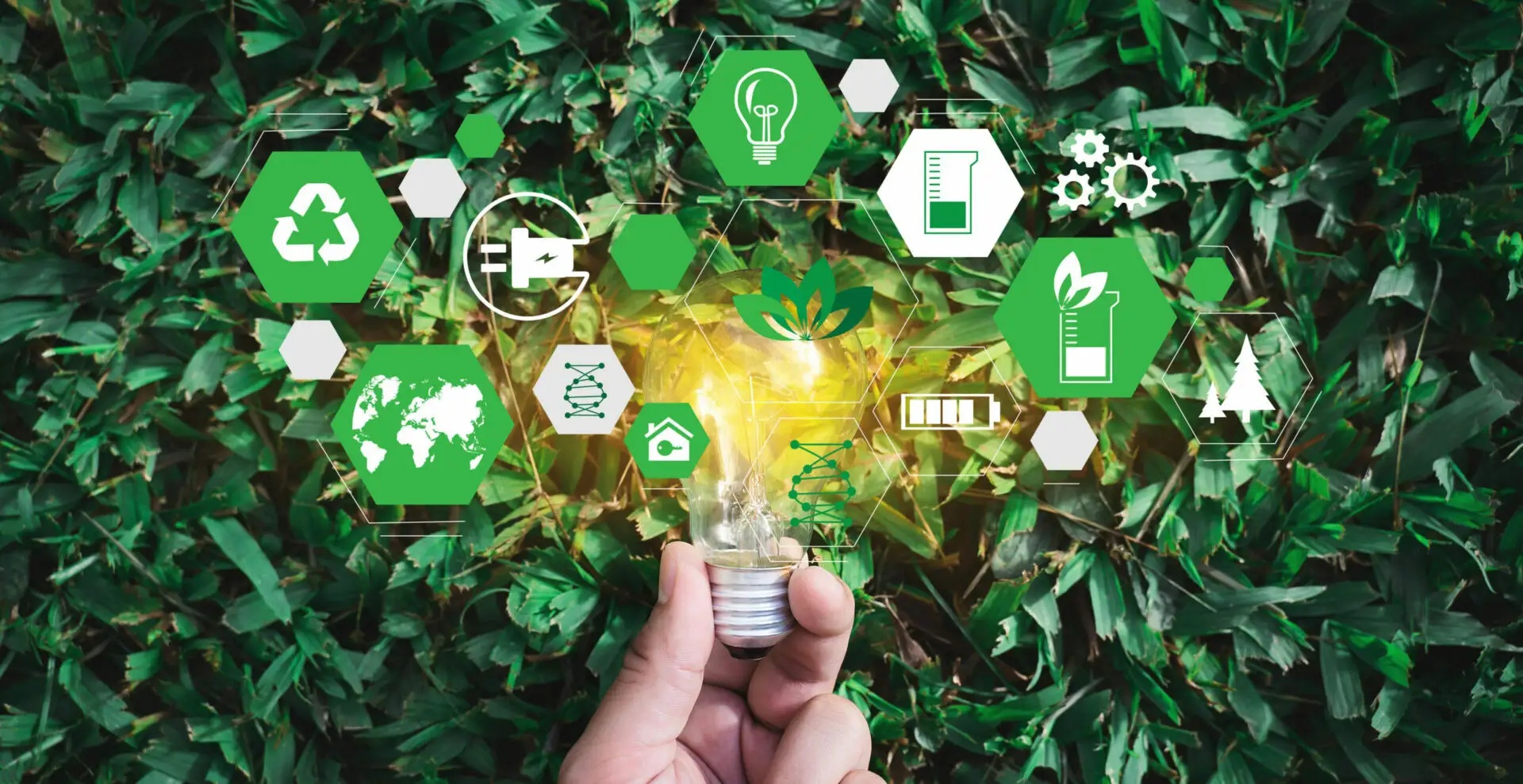 Hablemos de Economía Circular